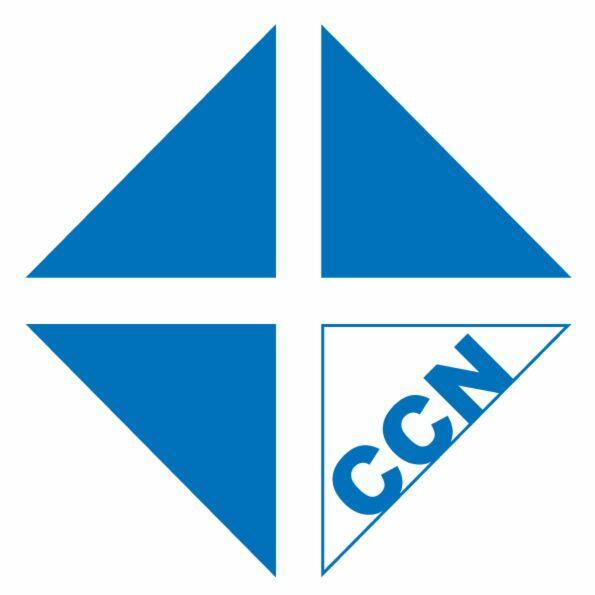 CCN REALTY PTE. LTD.