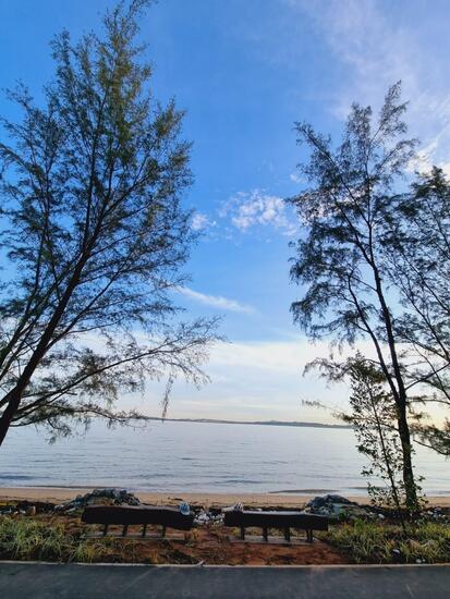 Alvin Liong