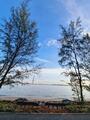 Alvin Liong