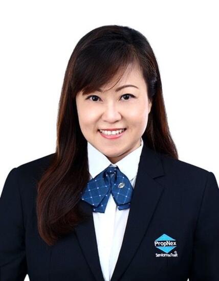 Agent Avatar