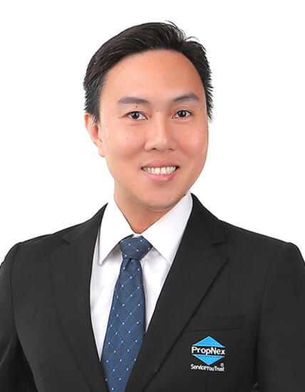 Agent Avatar
