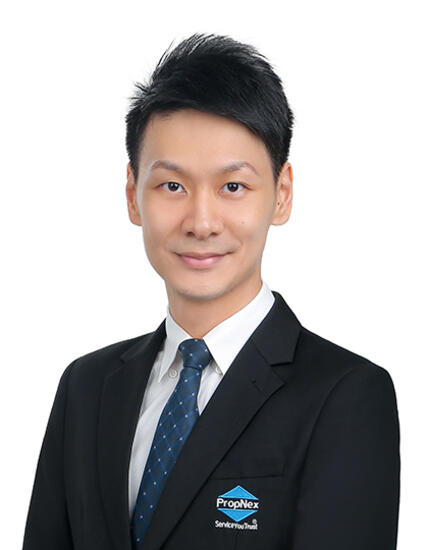 Agent Avatar