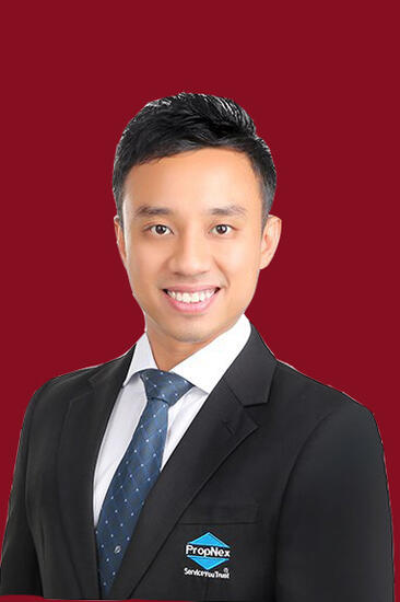 Agent Avatar