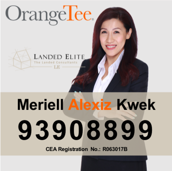 Agent Avatar