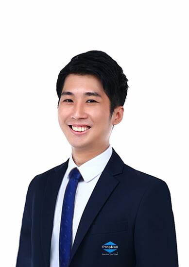 Agent Avatar
