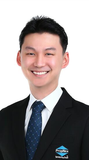 Agent Avatar