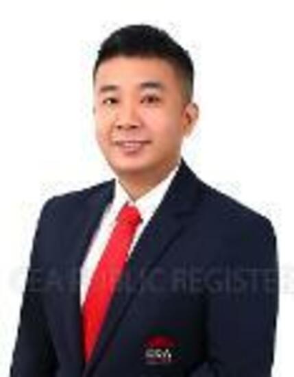 Agent Avatar
