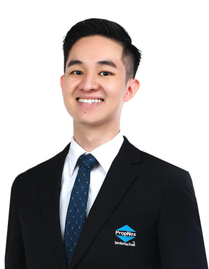 Agent Avatar