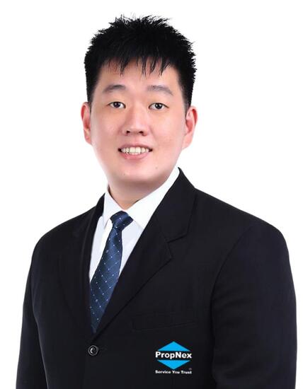 Agent Avatar