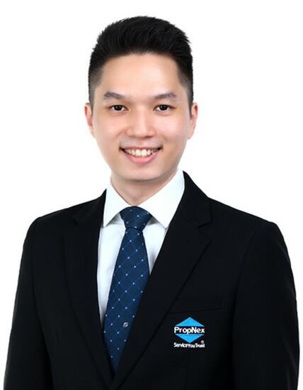 Agent Avatar