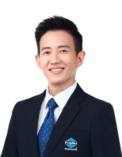 Agent Avatar