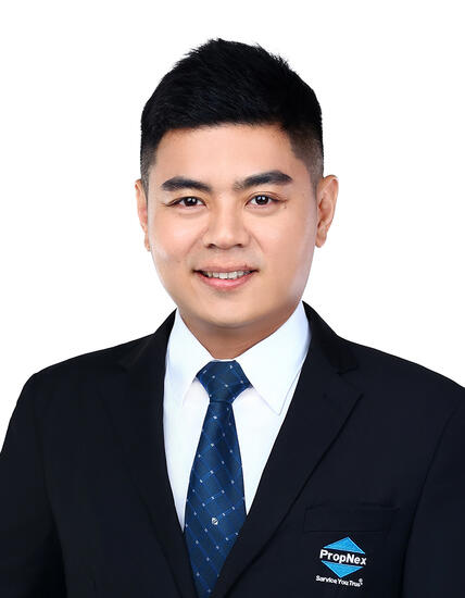 Agent Avatar