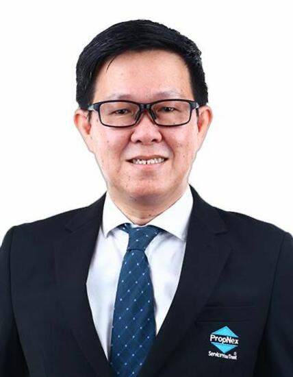 Agent Avatar