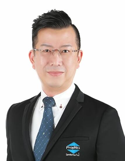 Agent Avatar