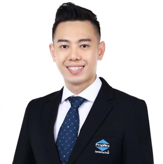 Agent Avatar