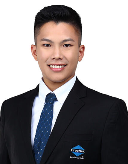 Agent Avatar