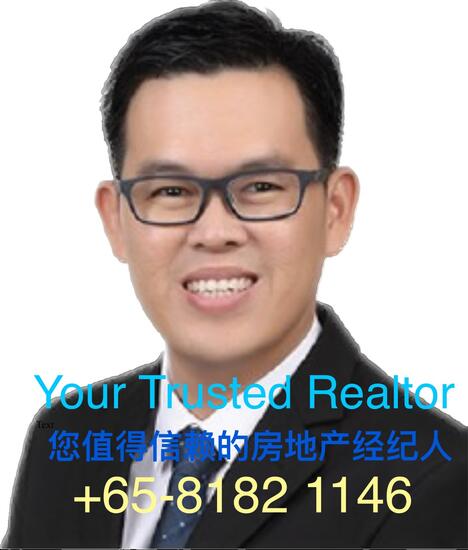 Agent Avatar