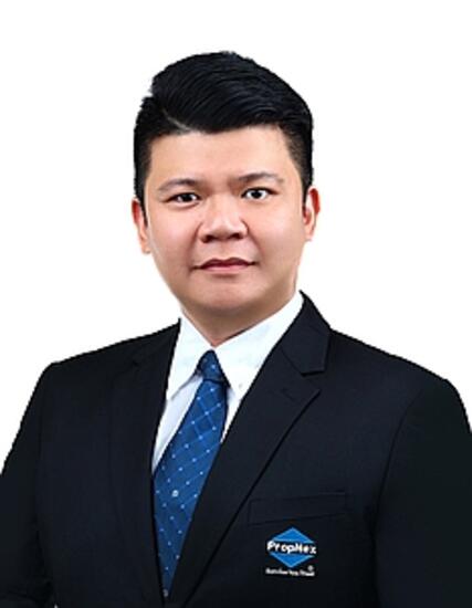 Agent Avatar