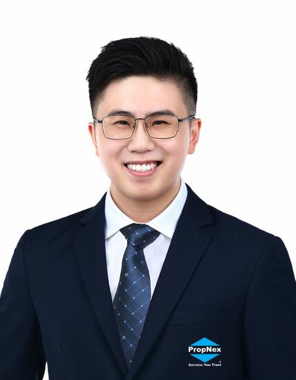 Agent Avatar