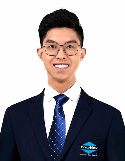 Agent Avatar