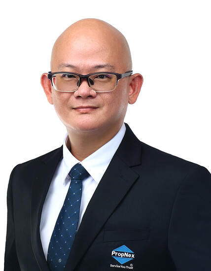 Agent Avatar
