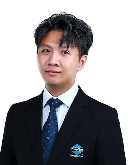 Agent Avatar