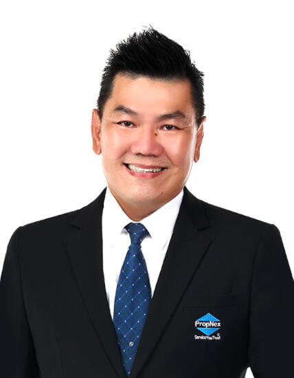 Agent Avatar