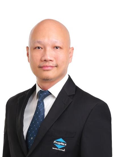 Agent Avatar