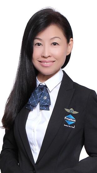 Agent Avatar