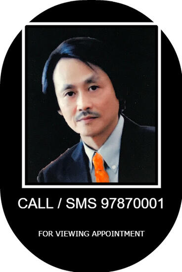 Agent Avatar