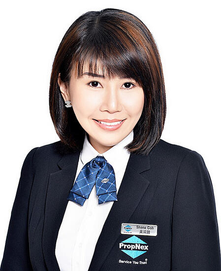 Agent Avatar