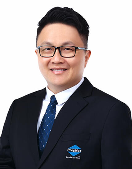 Agent Avatar