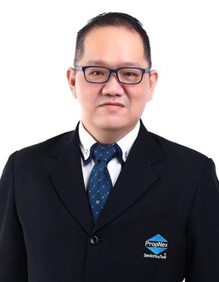Agent Avatar