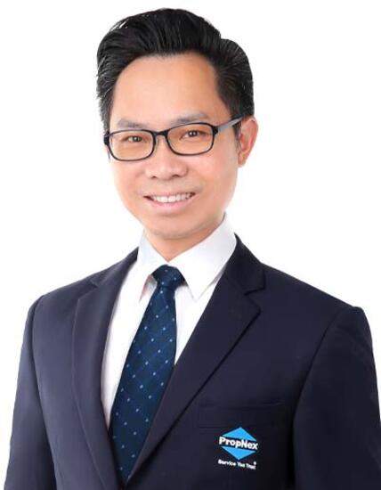 Agent Avatar