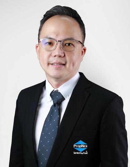 Agent Avatar