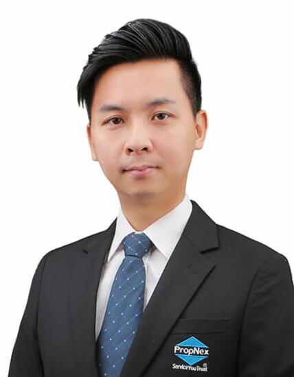 Agent Avatar