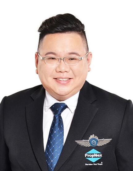 Agent Avatar