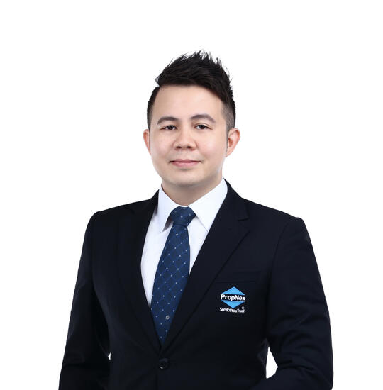 Agent Avatar