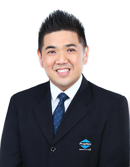 Agent Avatar