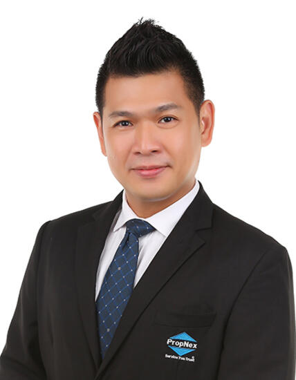 Agent Avatar