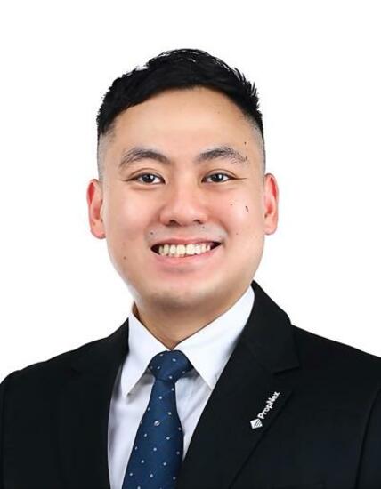 Agent Avatar