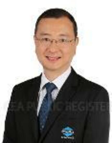 Agent Avatar