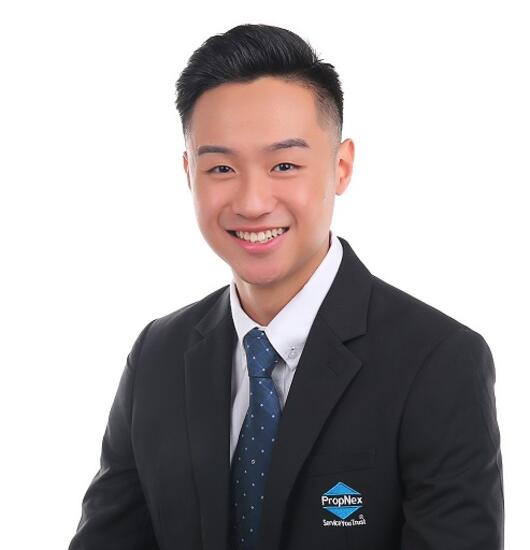 Agent Avatar