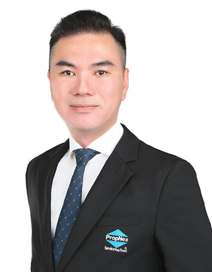 Agent Avatar