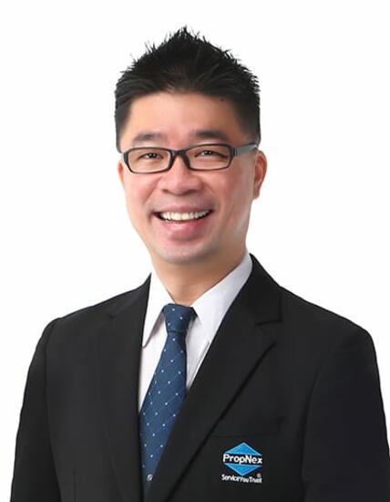Agent Avatar