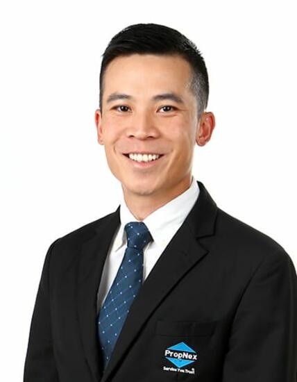Agent Avatar
