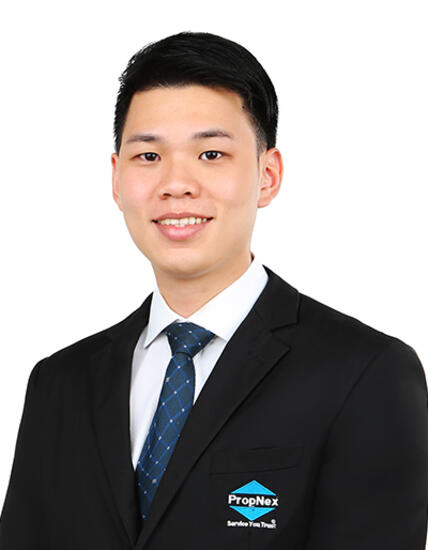 Nicholas Valerian Halim