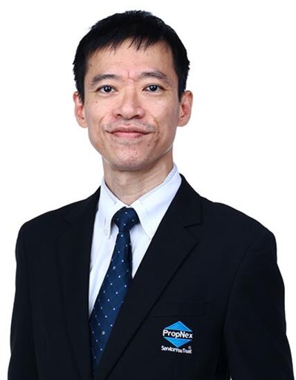 Agent Avatar
