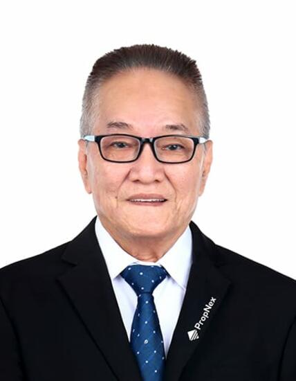 Agent Avatar