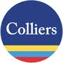 COLLIERS INTERNATIONAL (SINGAPORE) PTE LTD
